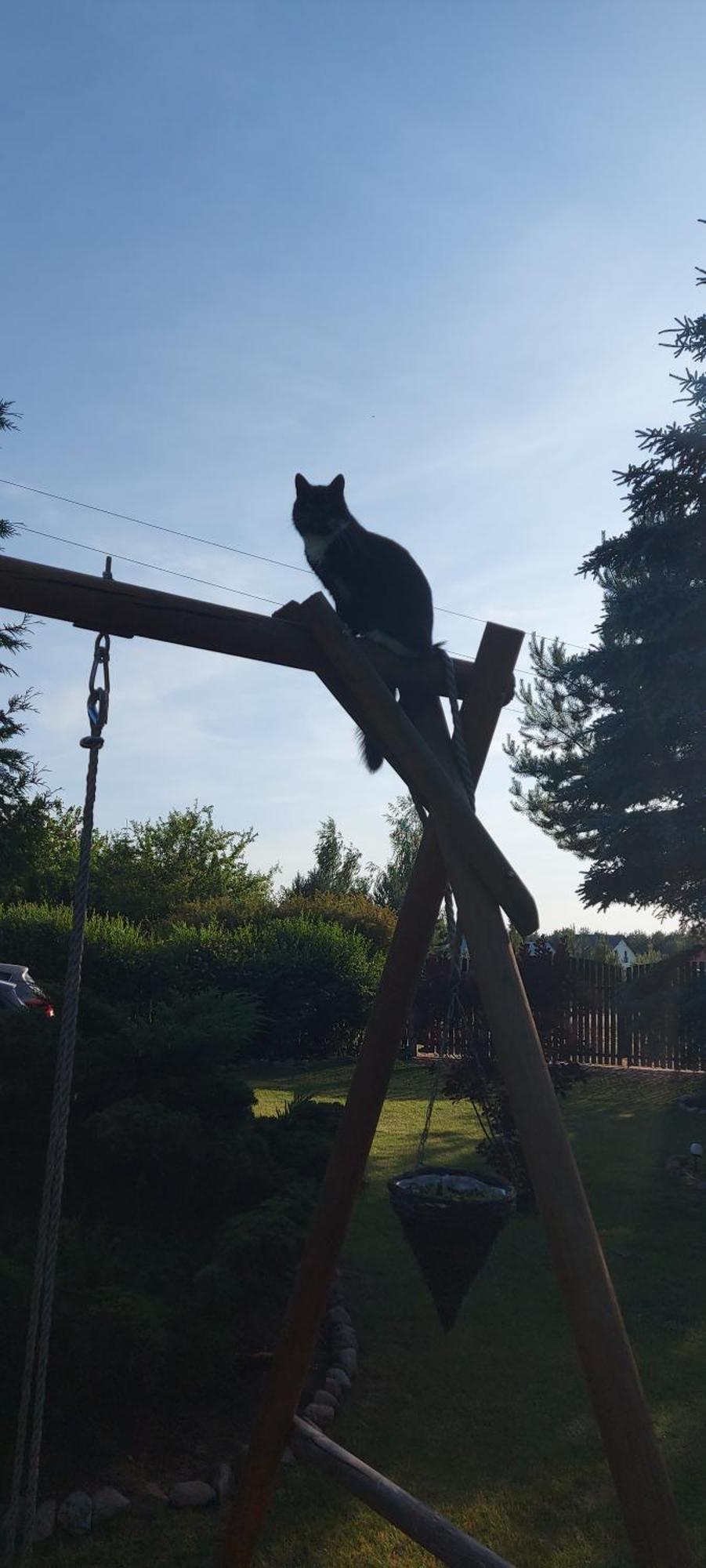 Chataa Szczechy Male Zewnętrze zdjęcie